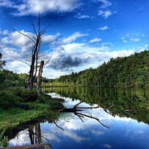onteora-lake-ny-hotel-dylan