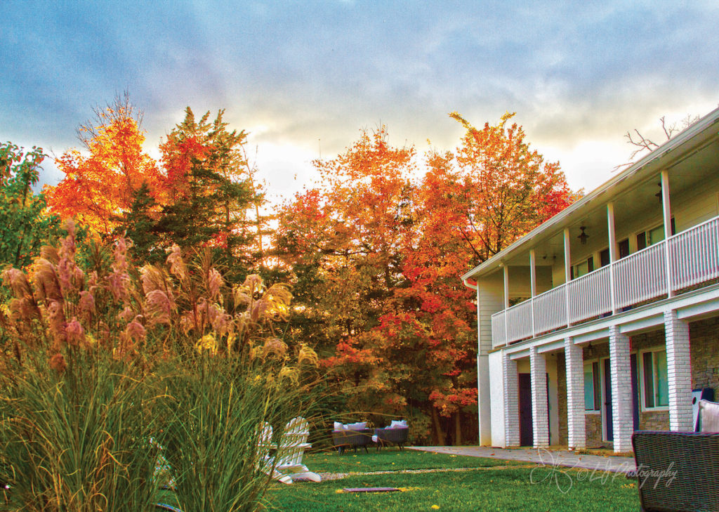 Hotel Dylan A Boutique Hotel In Woodstock New York